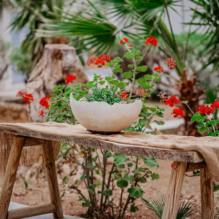 Iphigenia Mythic Retreat Apartment Hersonissos (Crete)